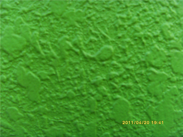 �c����Ԕ���Y��